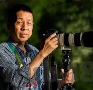 免费看麻豆文化传媒-汪洋网络中的一抹绿洲，免费探索麻豆文化的魅力