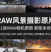 善良的小姨子中文字幕-善良的小姨子，温暖人心的家庭篇章